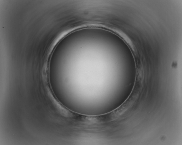 X0000101660911200807101251