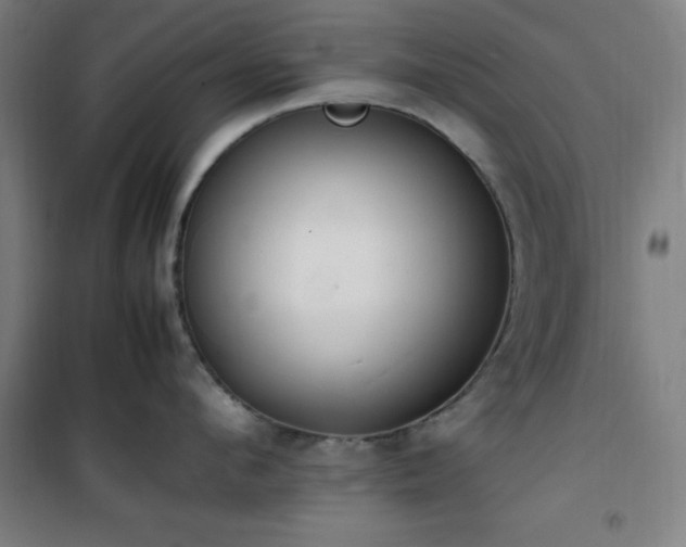 X0000101660912200807101251