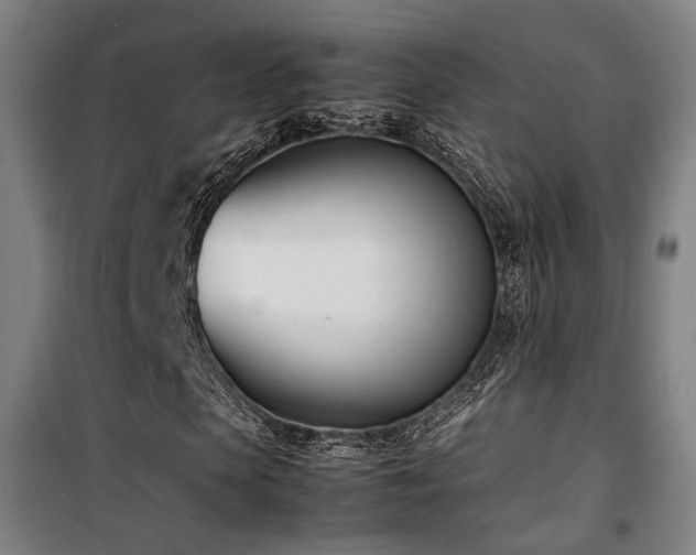 X0000101660913200807101250