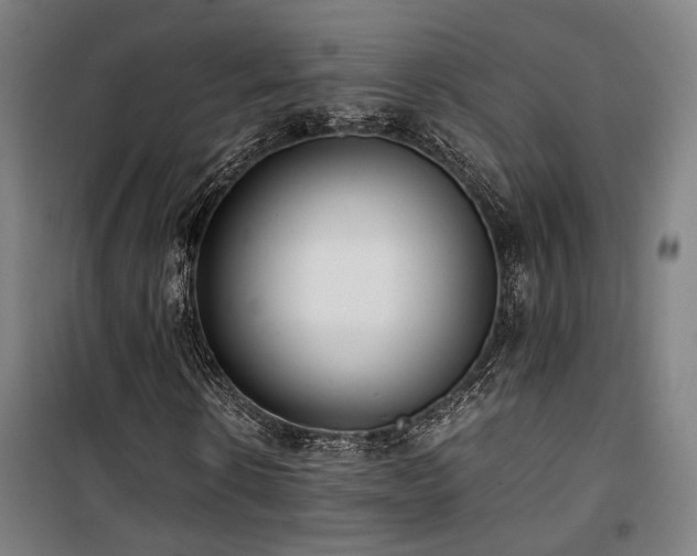 X0000101660914200807101250