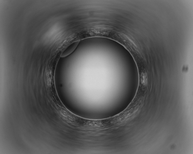 X0000101660915200807101250