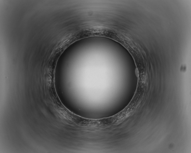 X0000101660916200807101250