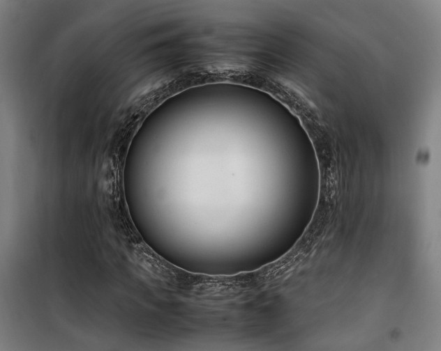 X0000101660917200807101251