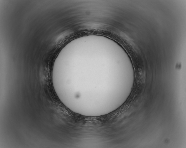 X0000101660918200807101251