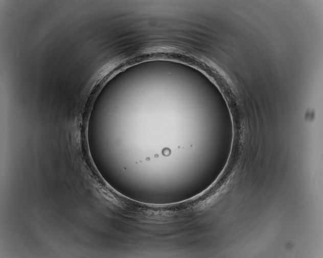 X0000101660921200807101251