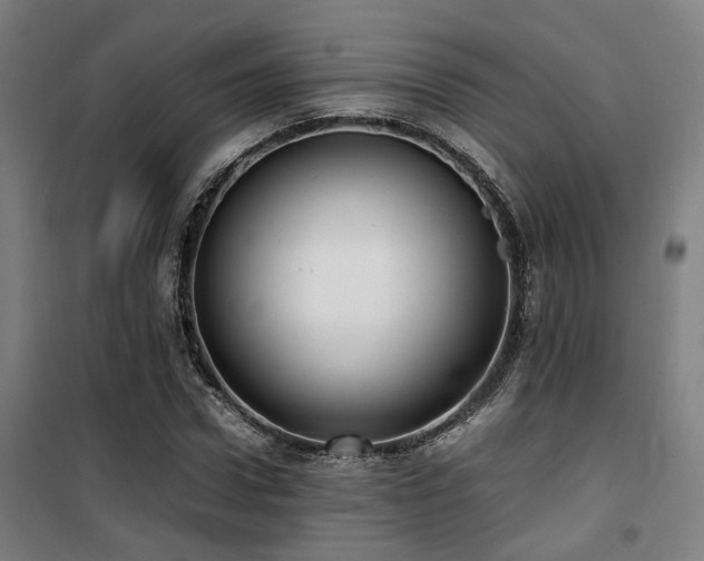 X0000101660922200807101251