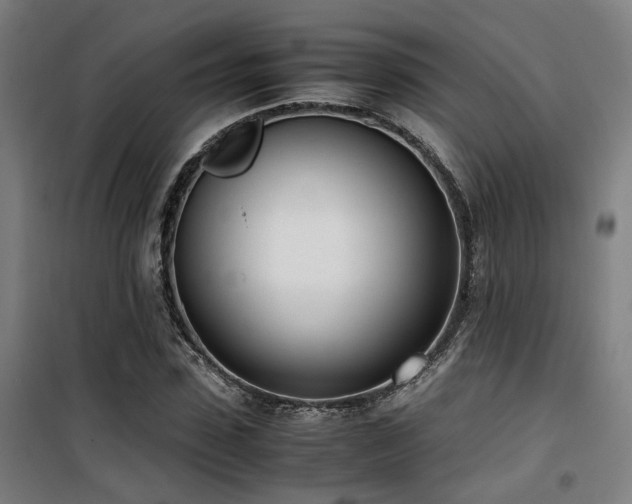 X0000101660923200807101251