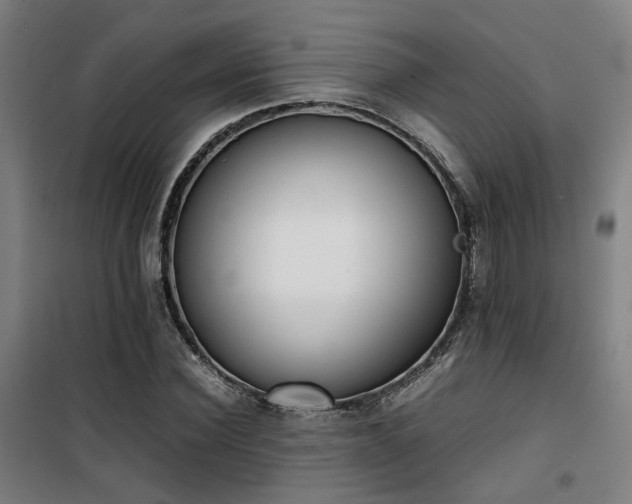 X0000101660924200807101251