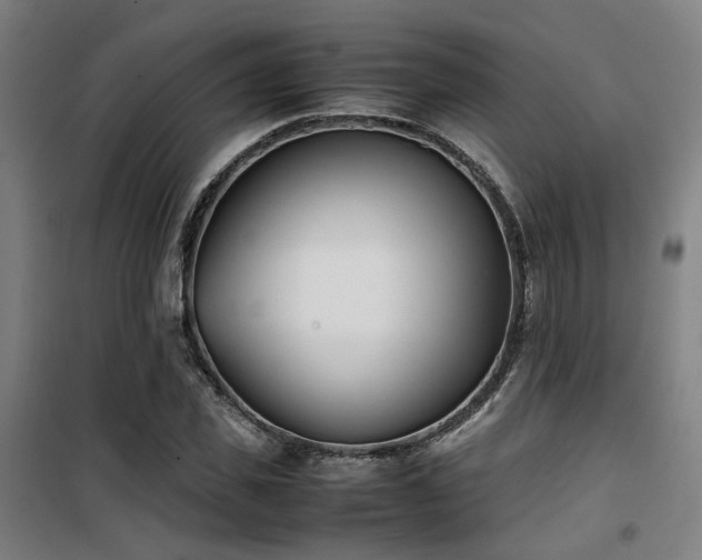 X0000101660925200807101251