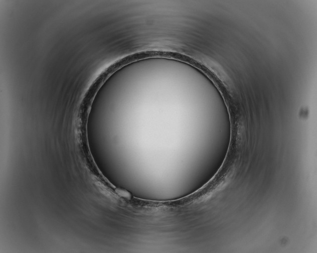 X0000101660926200807101251