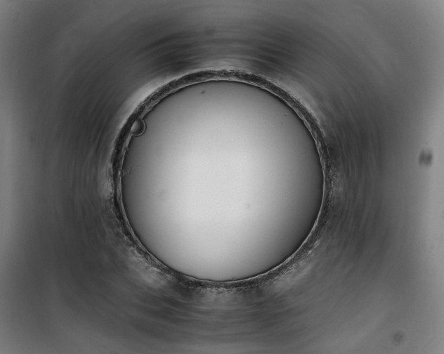 X0000101660927200807101251