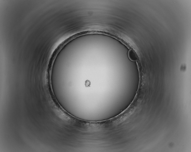 X0000101660928200807101251