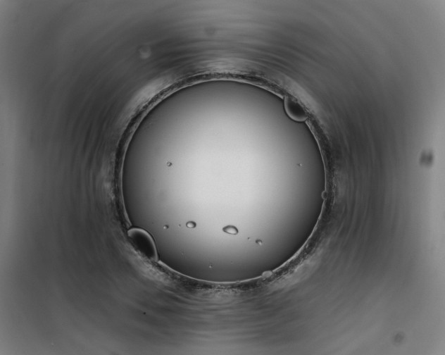 X0000101660930200807101251