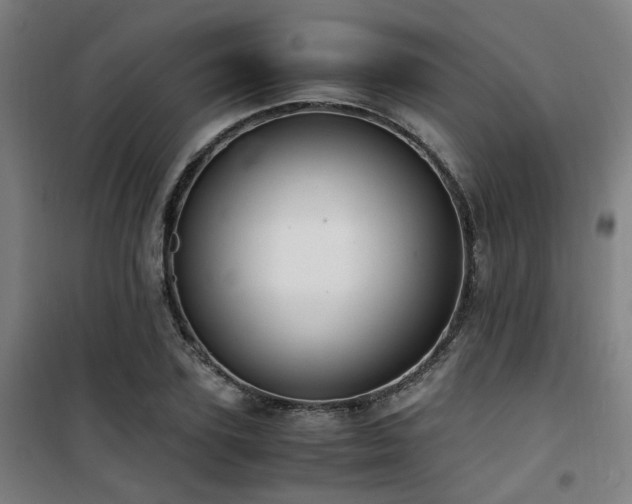 X0000101660931200807101251