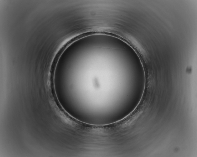 X0000101660932200807101251