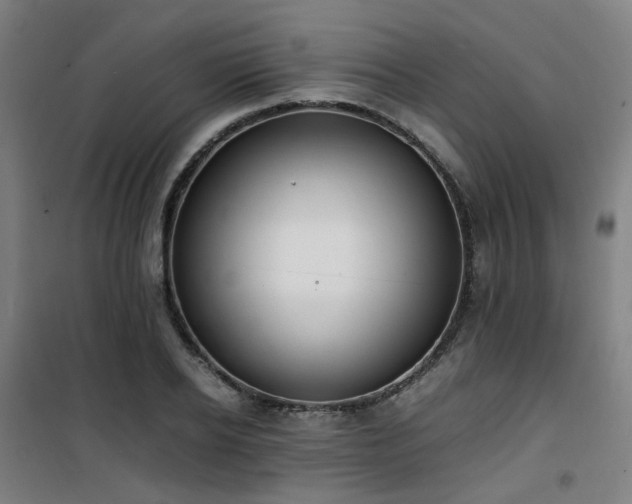 X0000101660934200807101251