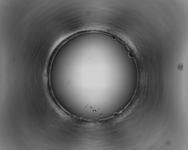 X0000101660936200807101251