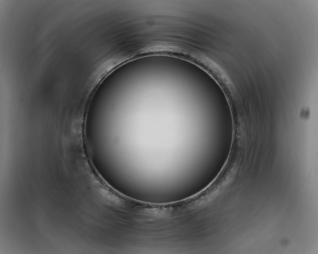 X0000101660937200807101251