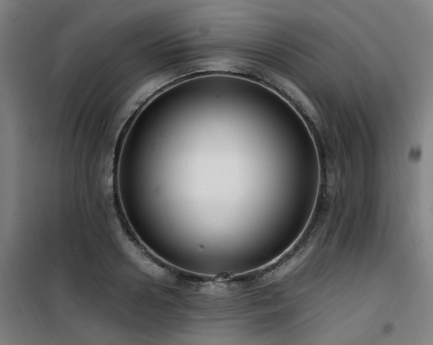 X0000101660938200807101251