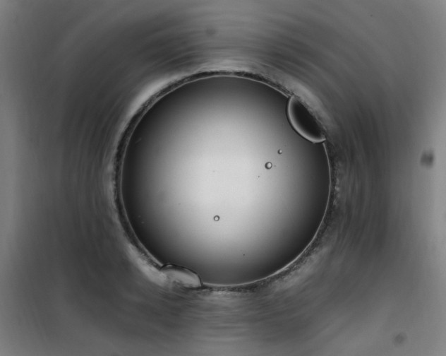 X0000101660942200807101251