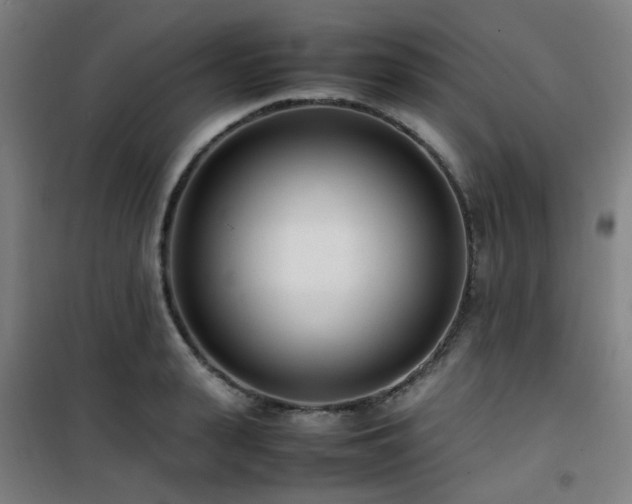 X0000101660943200807101251