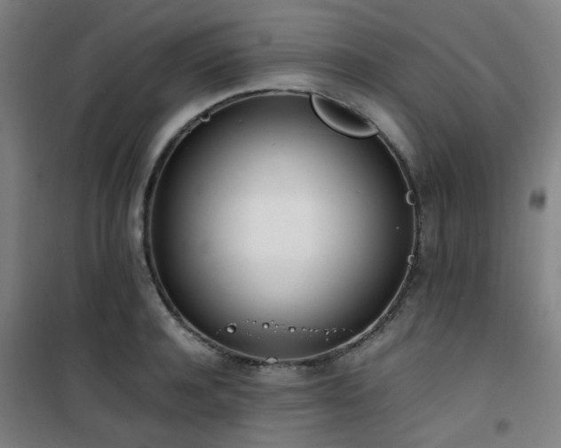 X0000101660944200807101251