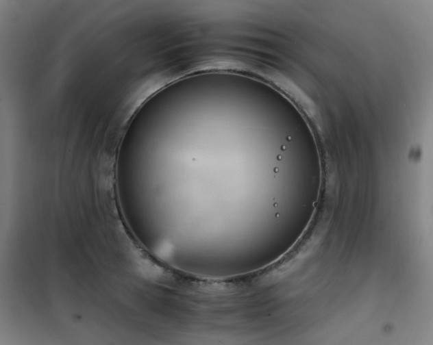 X0000101660945200807101251