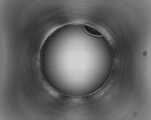 X0000101660948200807101251