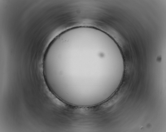 X0000101660950200807101251