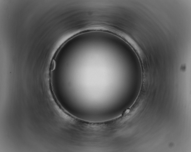 X0000101660951200807101251