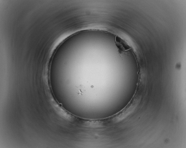 X0000101660952200807101251