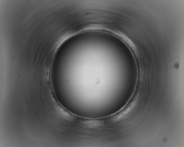 X0000101660953200807101251