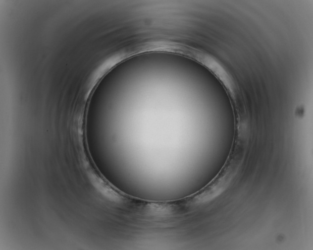 X0000101660954200807101251