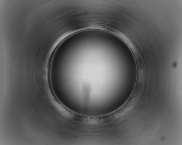 X0000101660955200807101251