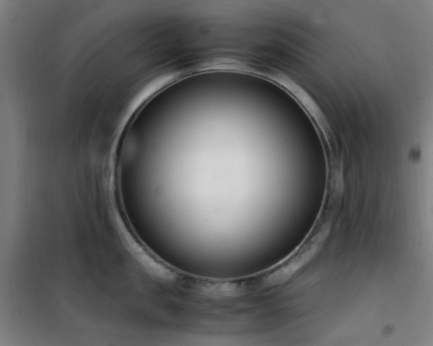 X0000101660957200807101251