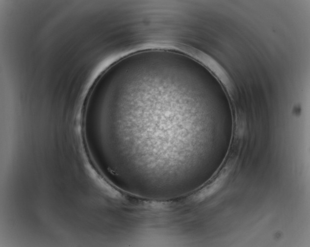 X0000101660958200807101251