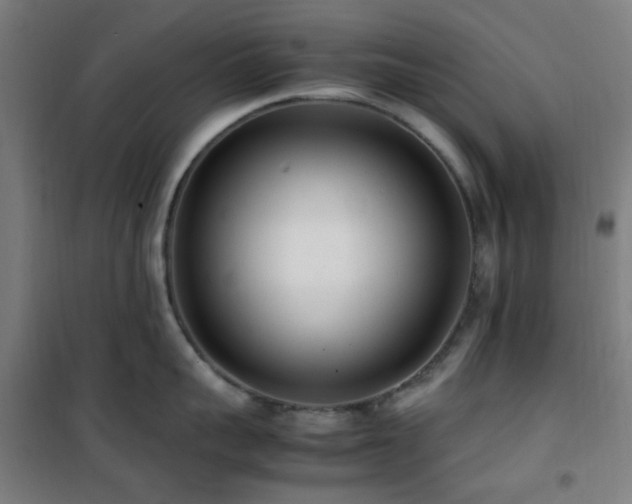 X0000101660959200807101251