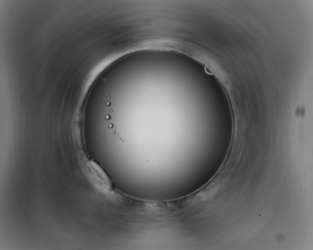 X0000101660960200807101251