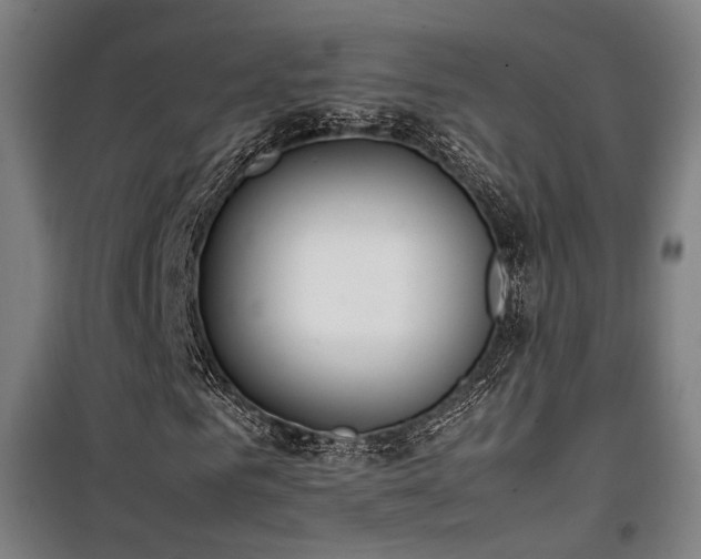 X0000101660961200807101250