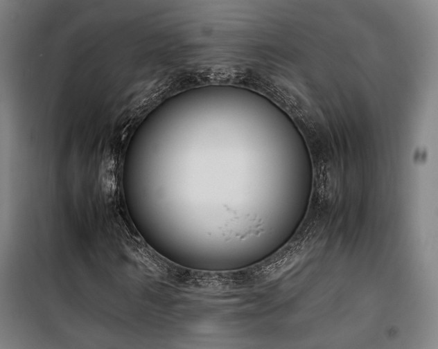 X0000101660962200807101250