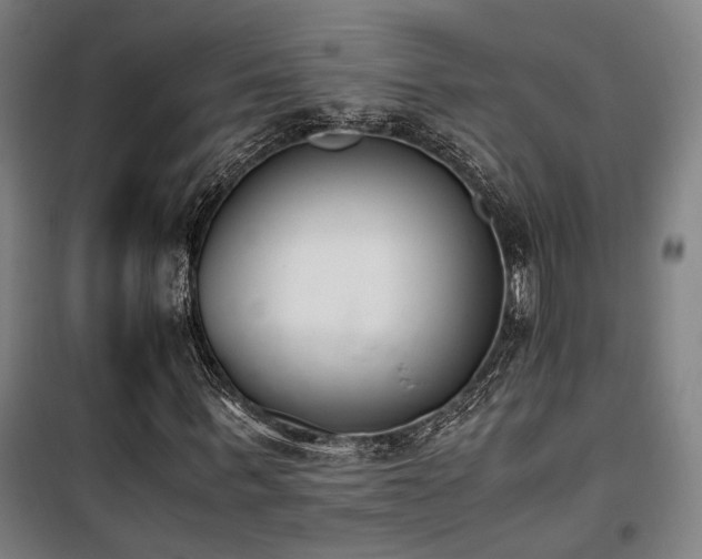 X0000101660963200807101250