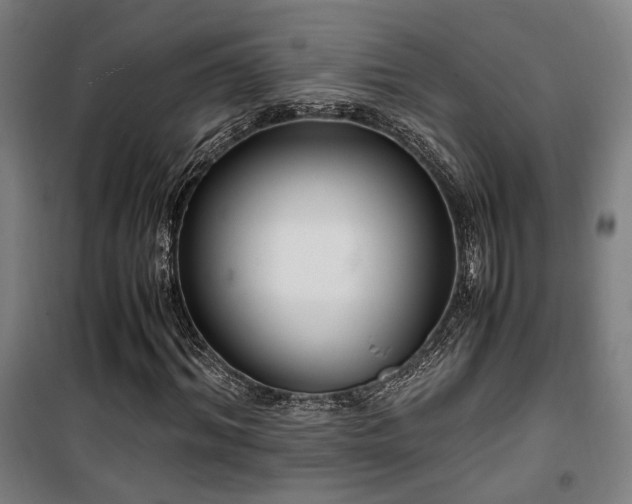 X0000101660964200807101250