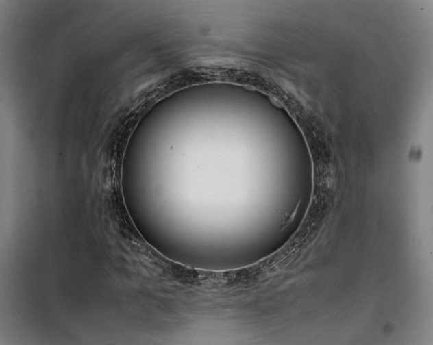 X0000101660965200807101250