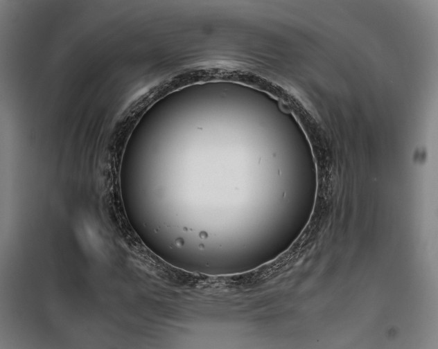 X0000101660967200807101250