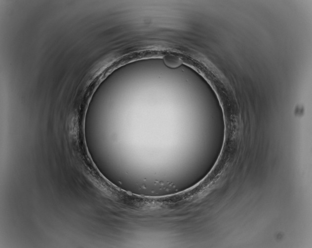 X0000101660969200807101250