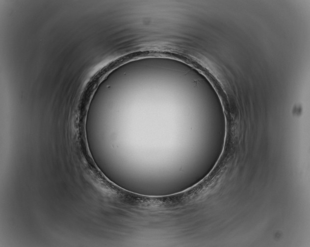 X0000101660971200807101250