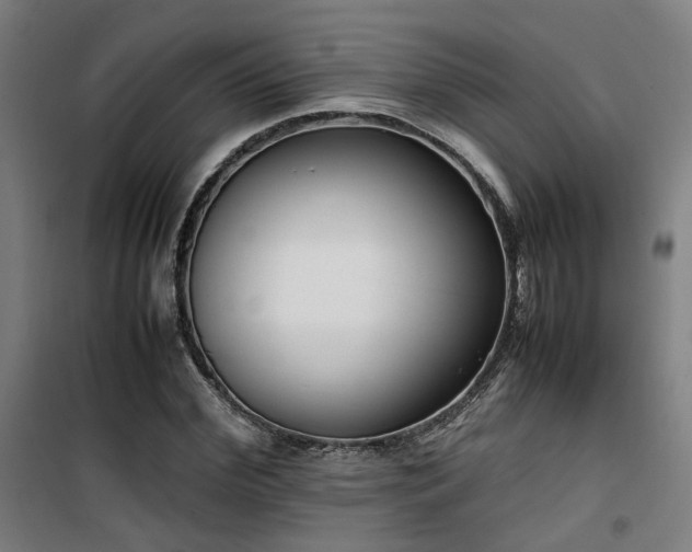 X0000101660972200807101250