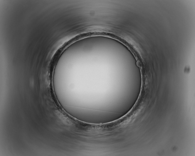 X0000101660973200807101250