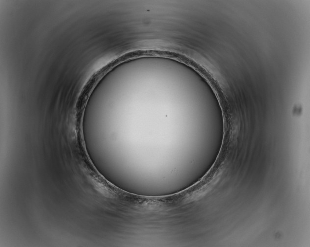 X0000101660974200807101250