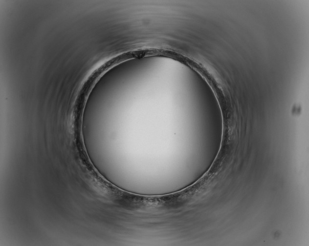 X0000101660975200807101250